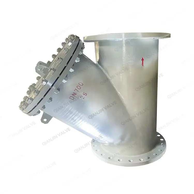 Y型过滤器