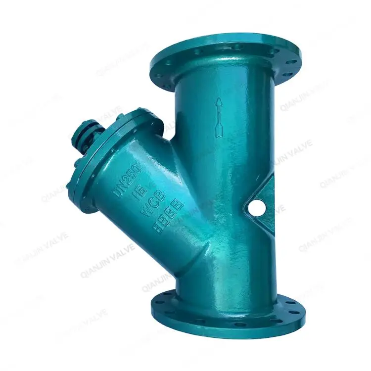 Y型过滤器