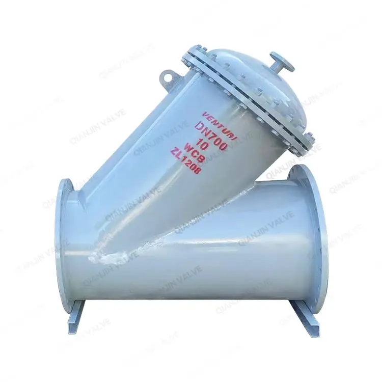 Y型过滤器